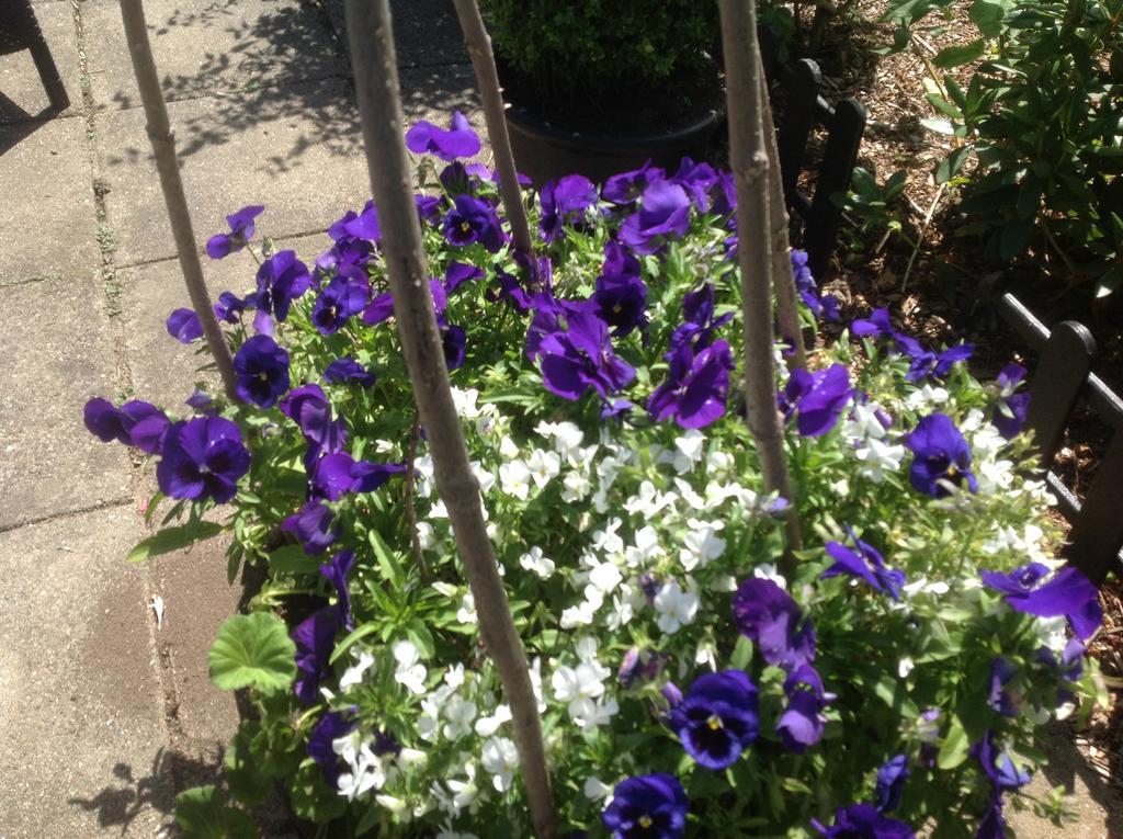בורקופ Vejle Golf Apartments מראה חיצוני תמונה