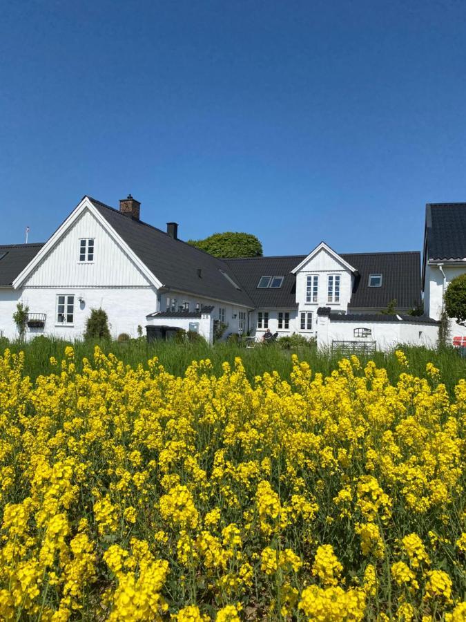 בורקופ Vejle Golf Apartments מראה חיצוני תמונה