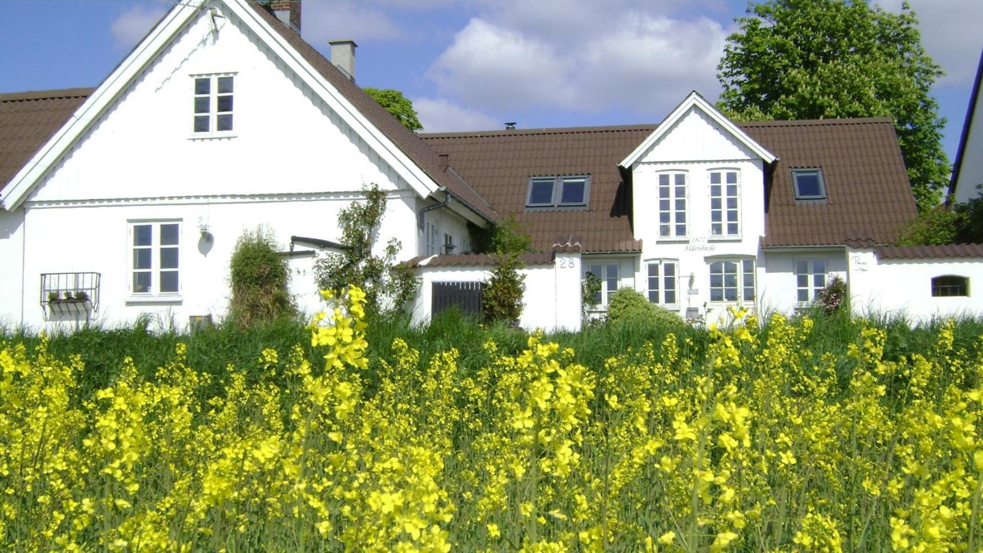 בורקופ Vejle Golf Apartments מראה חיצוני תמונה