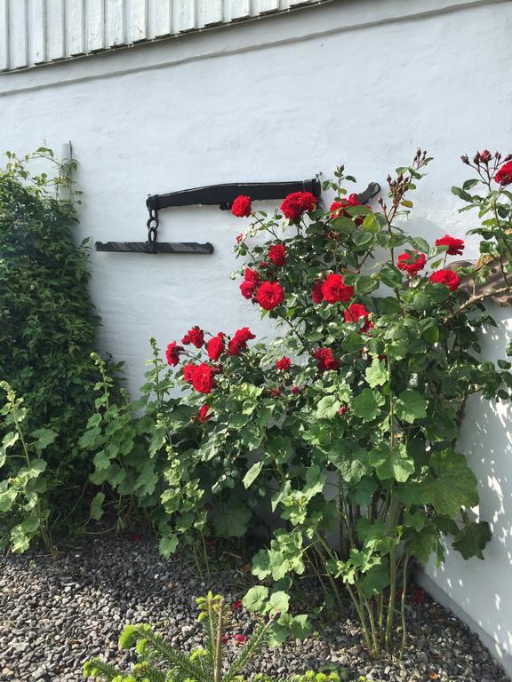 בורקופ Vejle Golf Apartments מראה חיצוני תמונה